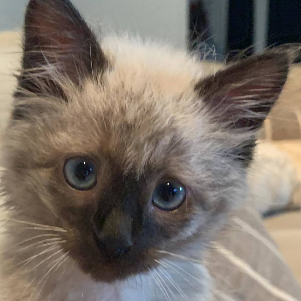 Meet your Posher, Tina